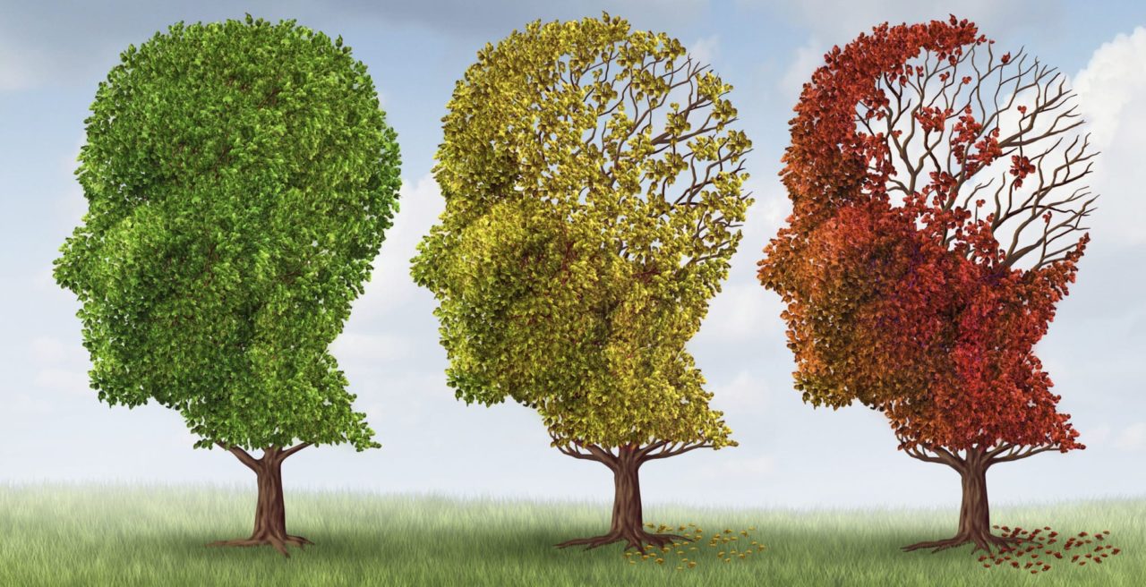 An illustration of three trees shaped like human heads in profile and progressing from healthy towards dormant. The far left tree is bright green and fully-leaved, the center tree is yellowing and has a few bare branches where the brain would be in a head, and the far right tree has red leaves and almost no leaves where the brain would be.