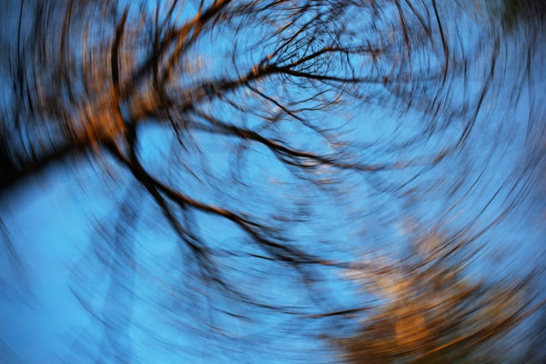 Long-exposure photo of leafless trees spinning against a blue sky