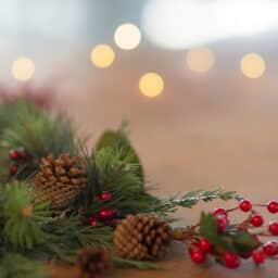 Close up of pinecones and berries on a garland